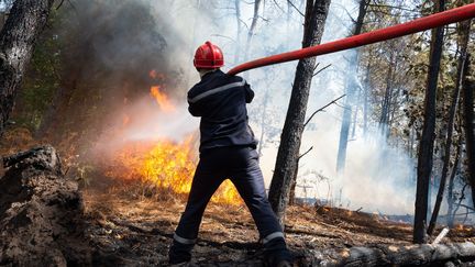 Un pompier en intervention lors d'un feu de dans la forêt de Brocéliande, à Campénéac (Morbihan), le 13 août 2022. (MATHIEU PATTIER / OUEST FRANCE / MAXPPP)