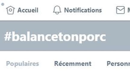 Les femmes se sont saisies du mot clé #balancetonporc sur le réseau social Twitter pour raconter les harcèlements, agressions et viols qu'elles ont vécus au travail.&nbsp; (CAPTURE D'ÉCRAN / TWITTER)