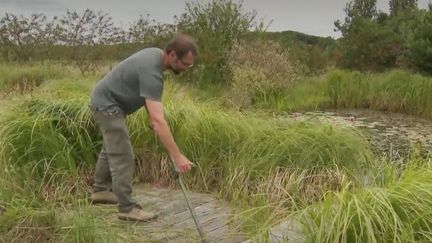 Le 12/13 est parti à la rencontre d'un jardinier qui se dit "punk", dans l'Yonne. Sa devise : faire moins pour le bien-être des espèces. (France 3)