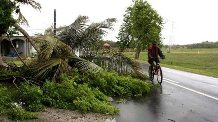 L'île de la Guadeloupe devastée par l'ouragan Dean en août 2007. (AFP - SYLVERE SELBONNE)