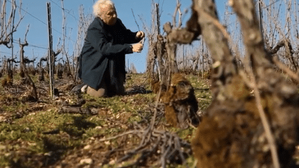 Biodynamie : un marché en développement