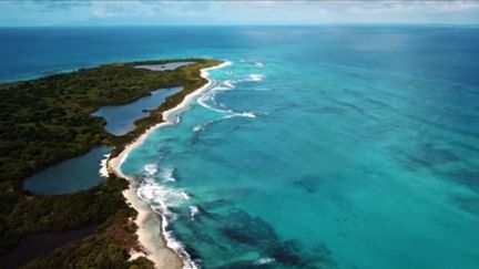 Guadeloupe : trois plages de l'archipel figurent parmi les préférées des Français