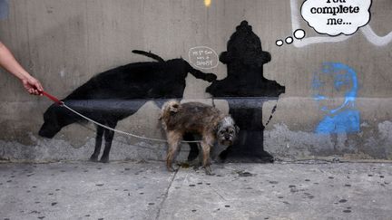 Un chien urine sur une nouvelle oeuvre du "street artist" Banksy &agrave; New York (Etats-Unis), le 3 octobre 2013. L'artiste a annonc&eacute; sur son site internet qu'il &eacute;tablissait sa r&eacute;sidence dans la ville pour un mois. (MIKE SEGAR / REUTERS)