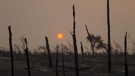 Le soleil se couche devant un paysage carbonisé à l'ouest de Redding en Californie, le 28 juillet 2018.&nbsp; (BOB STRONG / REUTERS)