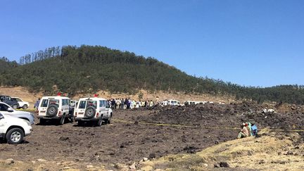 Le site du crash d'un avion de la compagnie Ethiopian Airlines, près de Bishoftu, en Ethiopie, le 10 mars 2019. (TIKSA NEGERI / REUTERS)