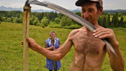 Fenaison traditionnelle en Pologne. De nombreux paysans continuent &agrave; se servir de faux et de fourches pour couper les foins.&nbsp;National Geographic Contest. (BART OMIEJ JURECKI)