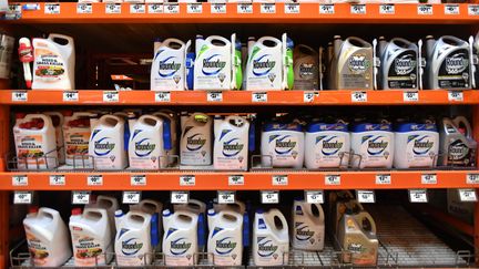 L'herbicide au glyphosate Roundup en vente à San Rafael, aux Etats-Unis, le 9 juillet 2018. (JOSH EDELSON / AFP)