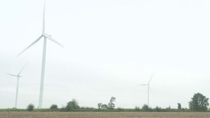 Énergie : une électricité moins chère grâce aux éoliennes (France 2)