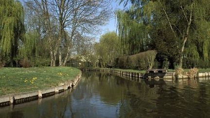 Les hortillonages d&#039;Amiens
 (A.J.CASSAIGNE / PHOTONONSTOP)