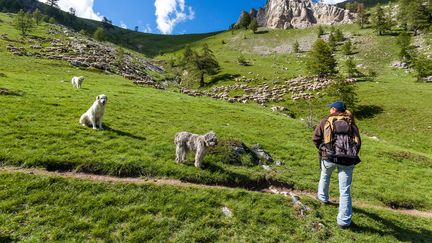 Feuilleton : Mercantour, hors des sentiers battus (4/5)