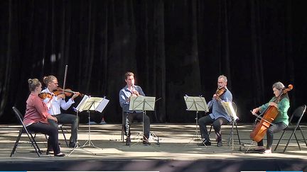 Les musiciens de l'Orchestre Pau Pays de Bearn en concert gratuit au théâtre de verdure&nbsp; (France 3 Nouvelle Aquitaine)