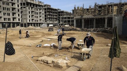 Des ouvriers palestiniens fouillent un cimetière romain récemment découvert à Beit Lahia, dans le nord de la bande de Gaza, le 12 décembre 2022. (MOHAMMED ABED / AFP)