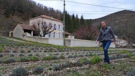 Le maire de Teyssières (Drôme), Franck Mucke, marche au milieu de la lavande, devant sa mairie, le 8 décembre 2015. (YANN THOMPSON / FRANCETV INFO)