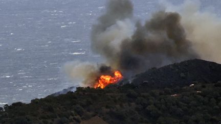 Incendie à Banyuls-sur-Mer (Pyrénées-Orientales), le 16 avril 2023. (RAYMOND ROIG / AFP)