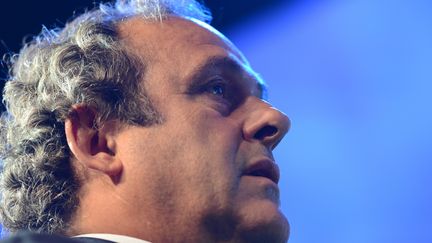 L'image de Michel Platini est de plus en plus écornée avant le vote pour la présidence de la FIFA (PATRICK SEEGER / DPA)