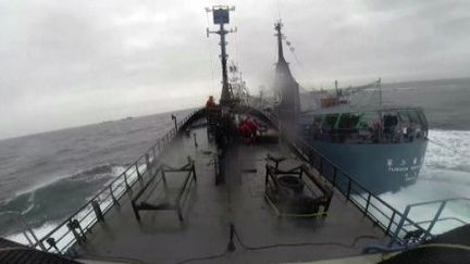 Capture d'écran du document Sea Shepherd du 2 février 2014. (Sea Shepherd)