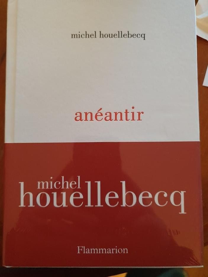 La première de couverture de "Anéantir", le roman de Michel Houellebecq, dans les bacs le 7 janvier 2022. (FLAMMARION)