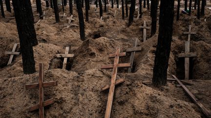 Des tombes dans une forêt proche de la ville d'Izioum, en Ukraine, le 25 septembre 2022. (YASUYOSHI CHIBA / AFP)