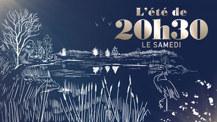 20H30 LE SAMEDI / FRANCE 2 (CAPTURE ECRAN / 20H30 LE SAMEDI / FRANCE 2)