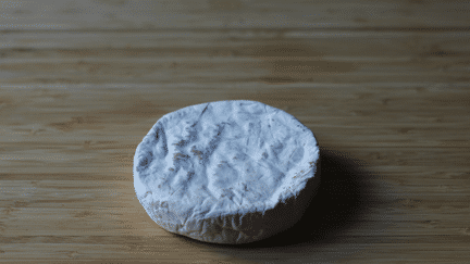 Un camembert vegan, fabriqué par Les petites Veganne. (ROBIN PRUDENT / FRANCEINFO)