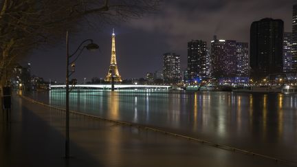 270 communes d'Île-de-France, dont Paris, sont en alerte inondations. (JOEL SAGET / AFP)