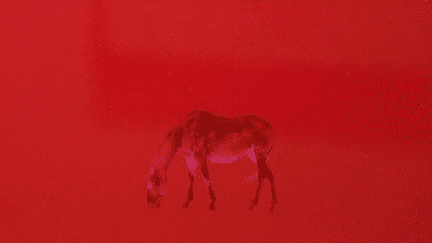 "Cheval Rouge"  à la manière de Pete Turner par Philippe Bernet
 (Philippe Bernet)