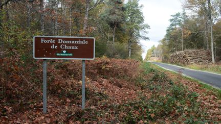 Forêt domaniale de Chaux dans le Jura. (MAXPPP)