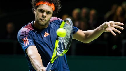 Tsonga au tournoi de Rotterdam (ANP MAG)