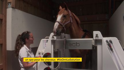 Dans cette étrange machine, Ryan, 17 ans, profite des bienfaits de l'eau salée pour la récupération de ses jambes. (France 3 Normandie)