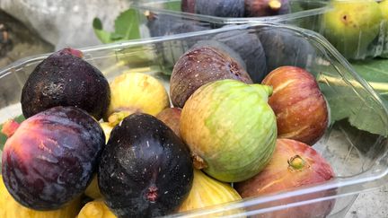 Des figues prêtes à être dégustées crues ou cuisinées. (FRANCK DAUMAS / RADIO FRANCE)