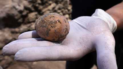 Un œuf vieux de 1&nbsp;000&nbsp;ans découvert intact lors de fouilles en Israël, le 9 juin 2021. (EMMANUEL DUNAND / AFP)