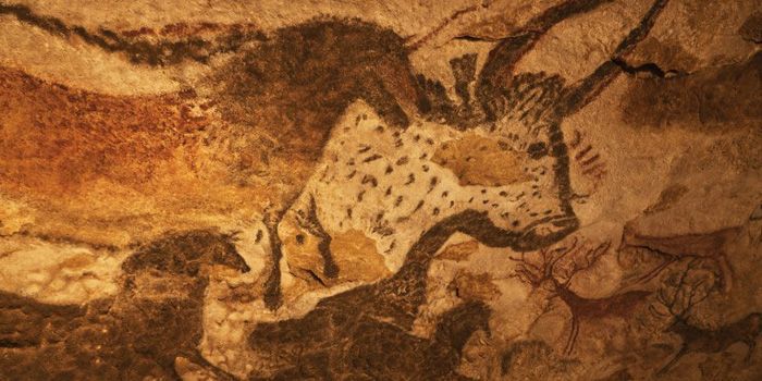 Peinture murale de la grotte de Lascaux (fac-similé de Lascaux II) en Dordogne.
 (AFP - hemis.fr - Jean-Daniel Sudres)