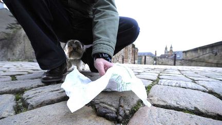 &nbsp; (Les crottes de chiens non ramassées seront analysées pour retrouver les propriétaires à Béziers © MaxPPP)