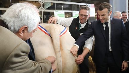 Le chef de l'Etat, Emmanuel Macron, en déplacement au Salon de l'agriculture à Paris, le 22 février 2020. (LUDOVIC MARIN / AFP)