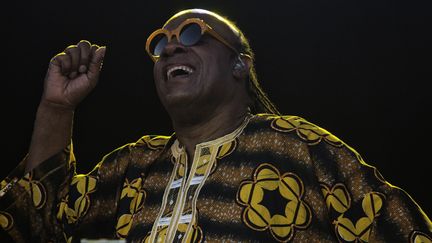 Stevie Wonder sera en concert le 14 Juillet 2014 à Vienne et le 18 à Juan
 (BETINA GARCIA / SCANPIX DENMARK / AFP)