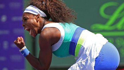 La rage de Serena Williams