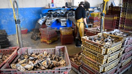 Des caisses d'huîtres, le 29 novembre 2019, à Cancale (Morbihan). (DAMIEN MEYER / AFP)