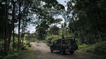 Des soldats congolais patrouillent dans le secteur Rwenzori, au nord-est de la République démocratique du Congo en mai 2021, après une attaque meurtrière de civils par le groupe ADF.&nbsp; (ALEXIS HUGUET / AFP)