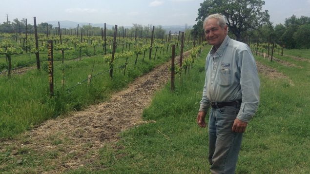 &nbsp; (Bob Cannard a compris l'intérêt de mettre du compost dans ses cultures © Anne-Laure Barral)