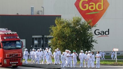 Des employ&eacute;s des abattoirs Gad &agrave; Josselin&nbsp;(Morbihan), le 22 octobre 2013. (FRED TANNEAU / AFP)