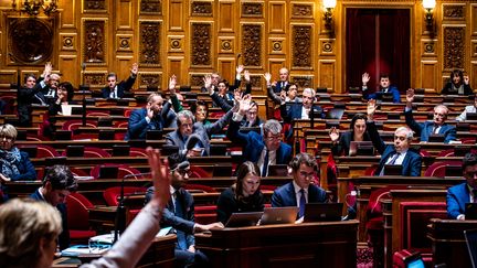 Les élus Les Républicains au Sénat, à Paris, le 6 mars 2023. (AMAURY CORNU / HANS LUCAS / AFP)