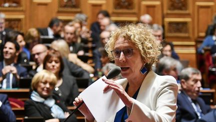 La ministre du Travail, Muriel Pénicaud, s'exprime au Sénat, à Paris, le 6 novembre 2019. (DANIEL PIER / NURPHOTO / AFP)