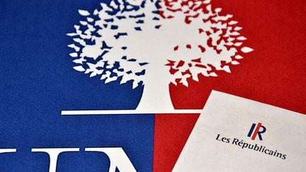 Les adh&eacute;rents UMP sont appel&eacute;s &agrave; se prononcer, les 28 et 29 mai 2015, sur la nouvelle appellation pr&eacute;vue pour le parti, Les R&eacute;publicains. (GERARD BOTTINO / CITIZENSIDE / AFP)