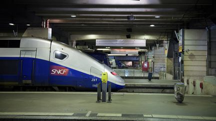 Un TGV à quai, gare Montparnasse, le 3 décembre 2017.&nbsp; (MARTIN BUREAU / AFP)