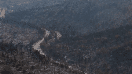 Incendies : des forêts et des maisons calcinées en Grèce (France 3)