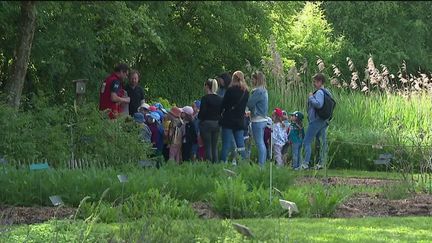 Environnement : le Conservatoire botanique national de Bailleul abrite plus de 1 000 espèces