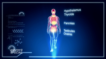 Envoyé spécial. Perturbateurs endocriniens, nos vies empoisonnées