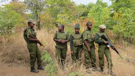 Femmes rangers d'Akhashinga  (Kate Bartlett/AFP)