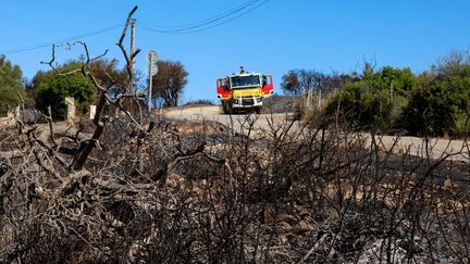 Hérault : 140 pompiers de la région Occitanie sont mobilisés sur l'incendie de Frontignan