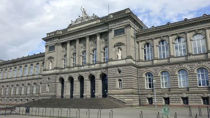 L'université de Strasbourg, en août 2016. (SASCHA STEINACH / DPA-ZENTRALBILD)